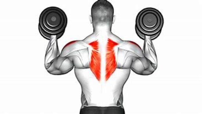 The Ultimate Guide to Dumbbell Exercises for Strength and Fitness